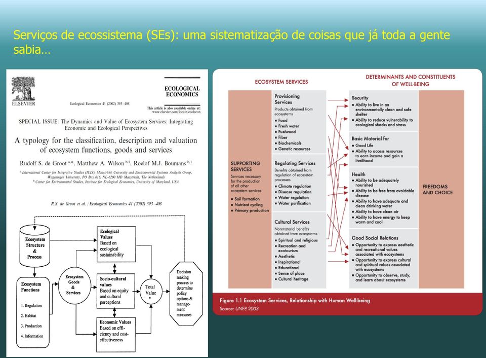 uma sistematização