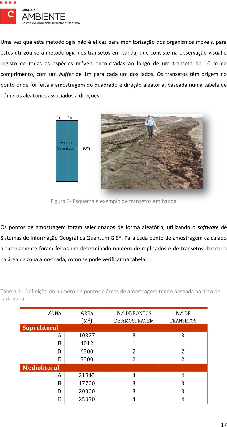 Os transetos têm origem no ponto onde foi feita a amostragem do quadrado e direção aleatória, baseada numa tabela de números aleatórios associados a direções.