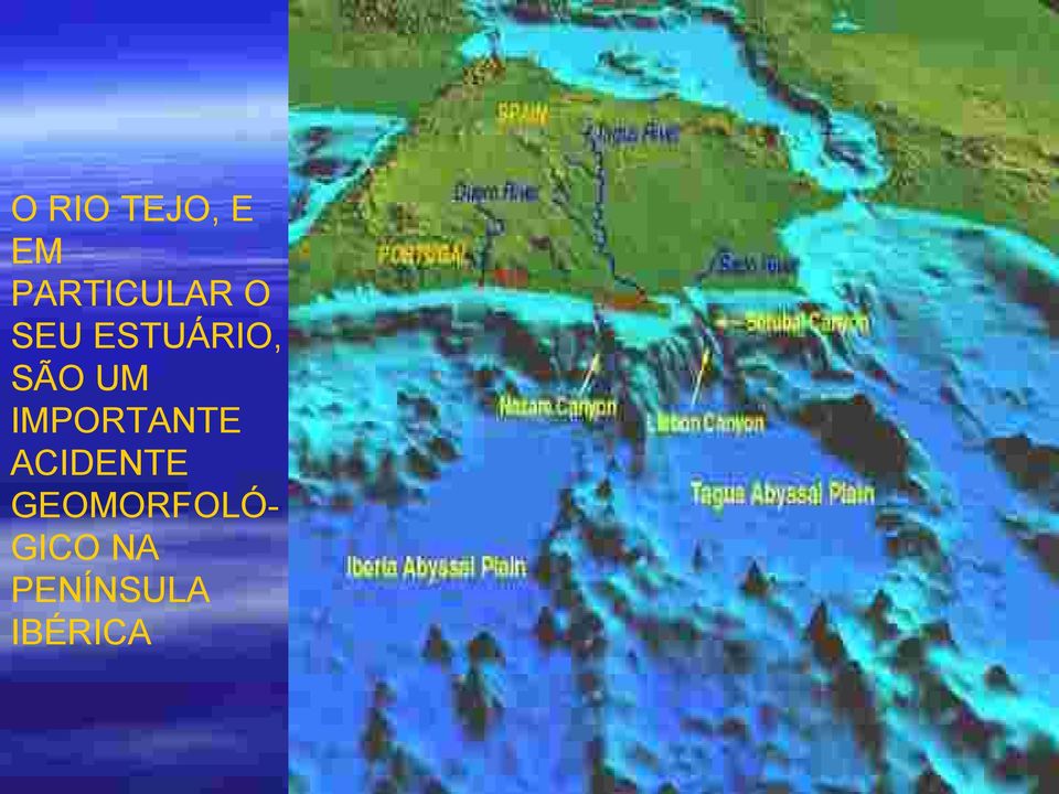 SÃO UM IMPORTANTE ACIDENTE