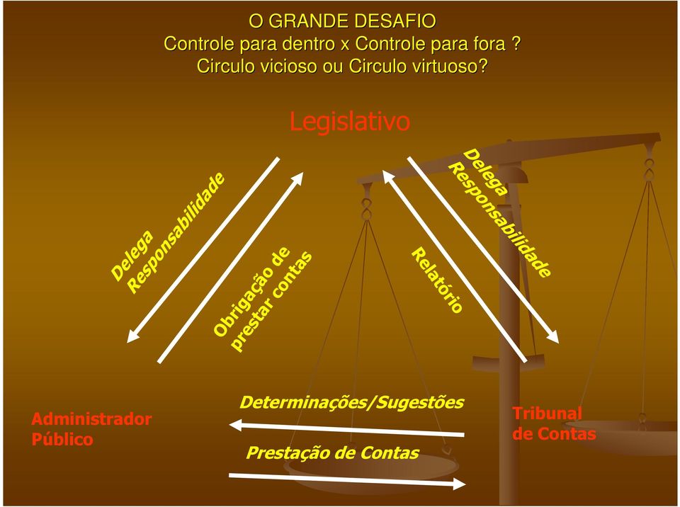 Legislativo Delega Responsabilidade Obrigação de prestar contas