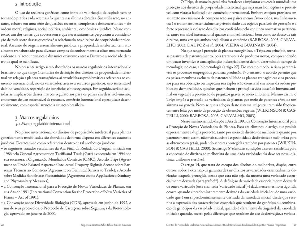 Nesse contexto, um dos temas que sobressaem e que necessariamente perpassam a consideração de toda sorte dessas questões é o relacionado aos direitos de propriedade intelectual.