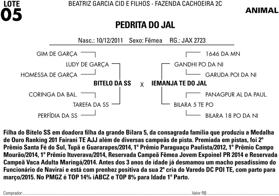 BILARA 5 TE PO BILARA 18 PO DA NI Filha do Bitelo SS em doadora filha da grande Bilara 5, da consagrada família que produziu a Medalha de Ouro Ranking 201 Fairani TE AJJ além de diversas campeãs de