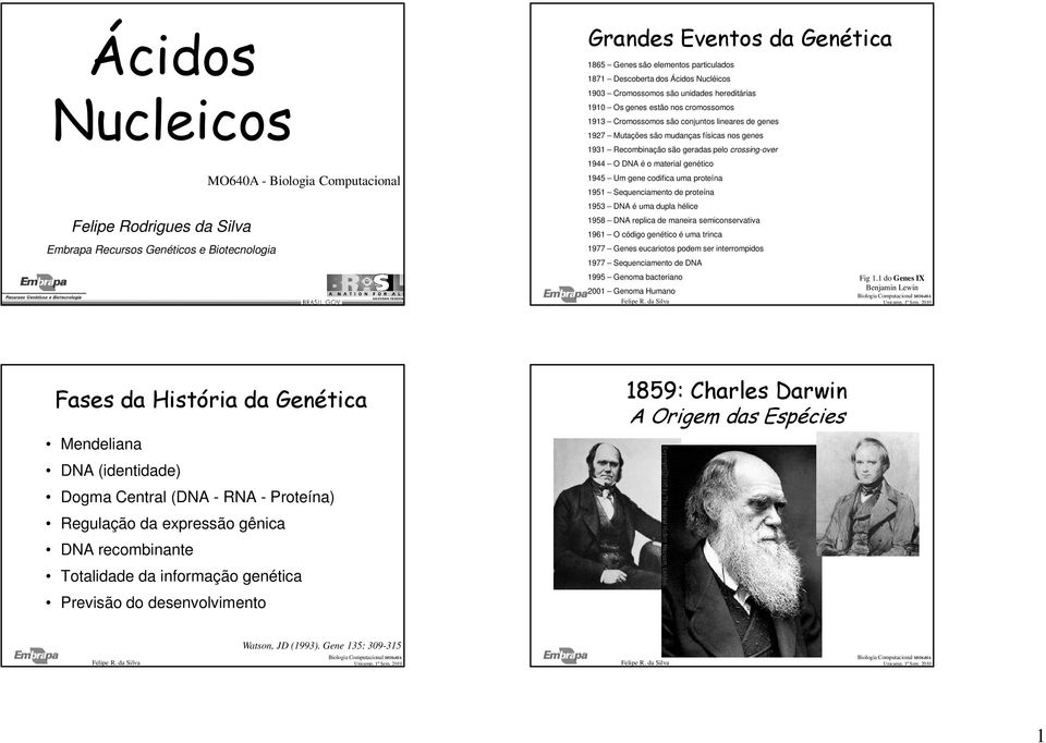 Recombinação são geradas pelo crossing-over 1944 O DNA é o material genético 1945 Um gene codifica uma proteína 1951 Sequenciamento de proteína 1953 DNA é uma dupla hélice 1958 DNA replica de maneira