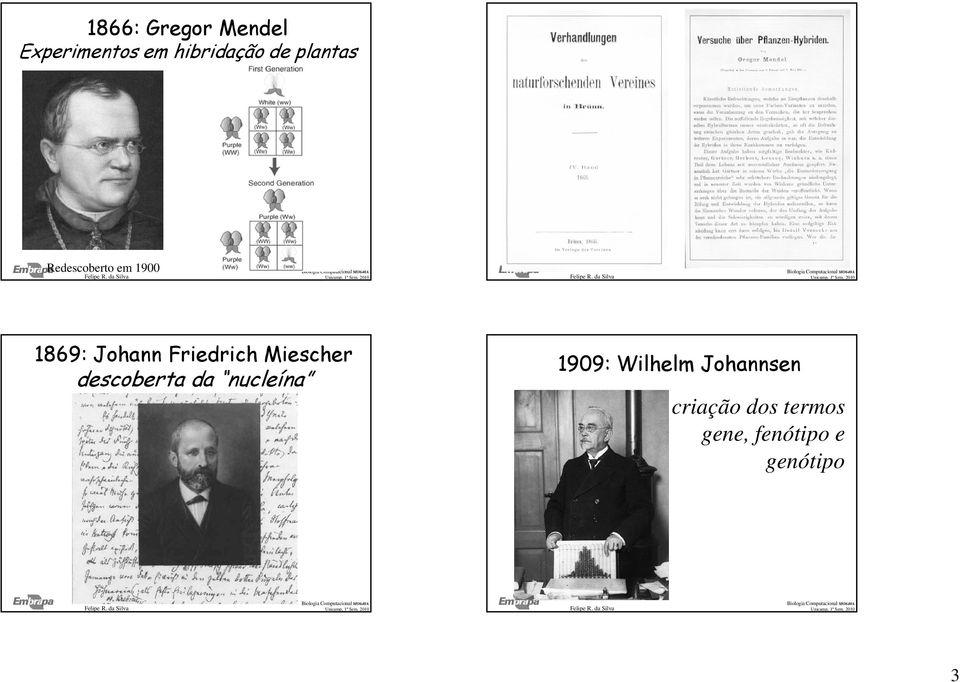 Friedrich Miescher descoberta da nucleína 1909: