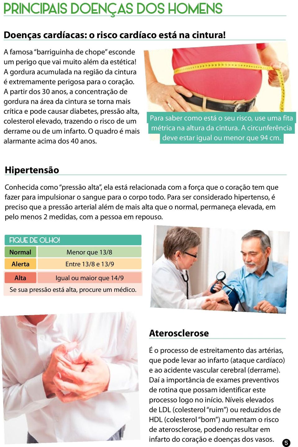 A partir dos 30 anos, a concentração de gordura na área da cintura se torna mais crítica e pode causar diabetes, pressão alta, colesterol elevado, trazendo o risco de um derrame ou de um infarto.