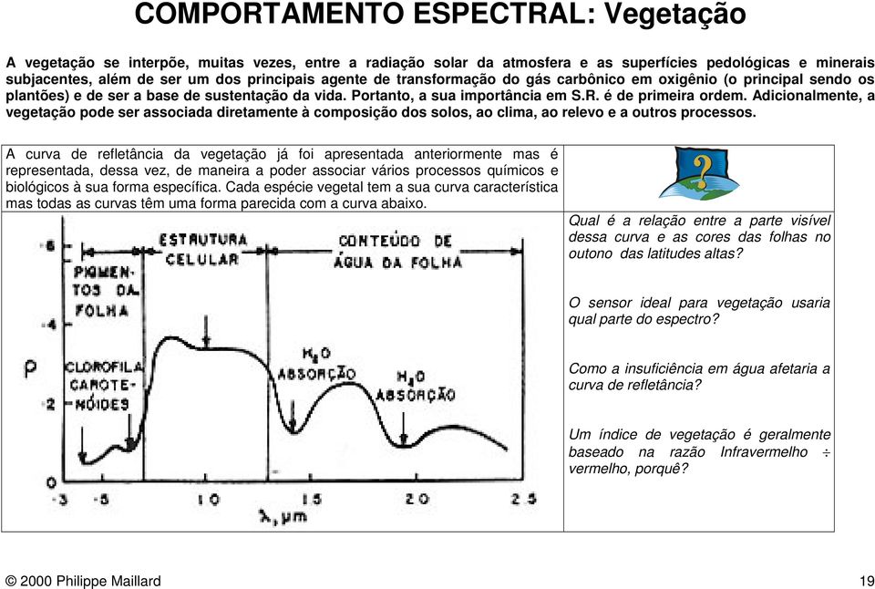 Adicionalmente, a vegetação pode ser associada diretamente à composição dos solos, ao clima, ao relevo e a outros processos.