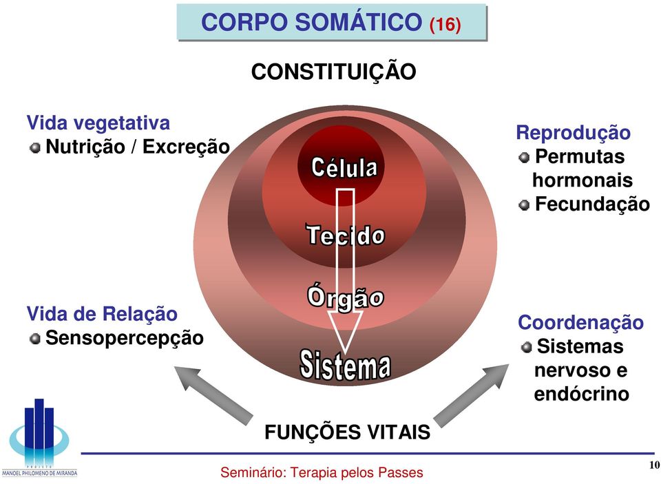 Fecundação Vida de Relação Sensopercepção