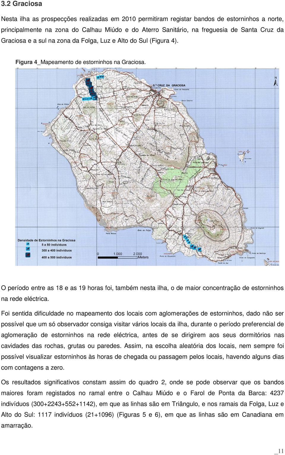 O período entre as 18 e as 19 horas foi, também nesta ilha, o de maior concentração de estorninhos na rede eléctrica.