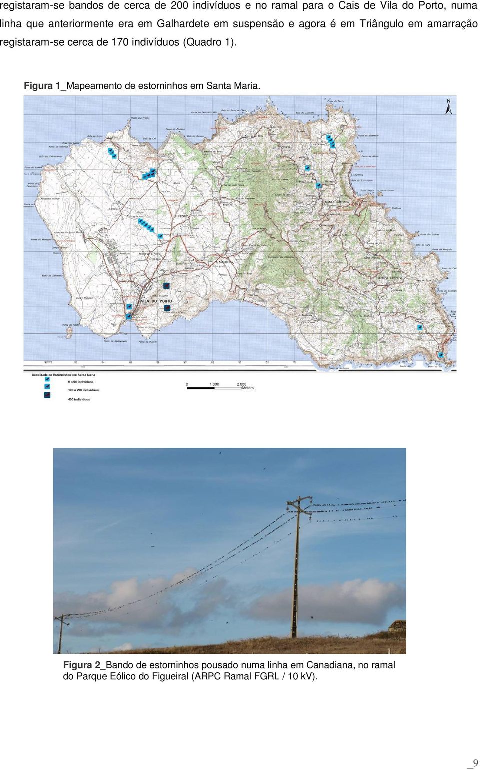 170 indivíduos (Quadro 1). Figura 1_Mapeamento de estorninhos em Santa Maria.