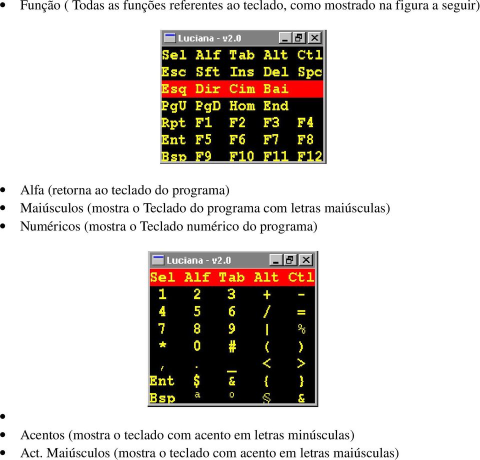 maiúsculas) Numéricos (mostra o Teclado numérico do programa) Acentos (mostra o teclado