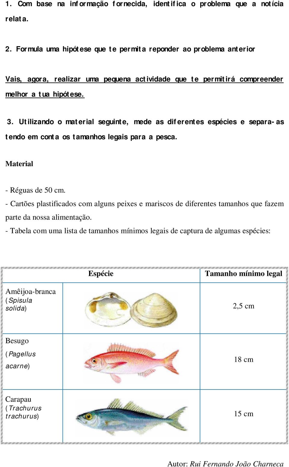 Utilizando o material seguinte, mede as diferentes espécies e separa-as tendo em conta os tamanhos legais para a pesca. Material - Réguas de 50 cm.