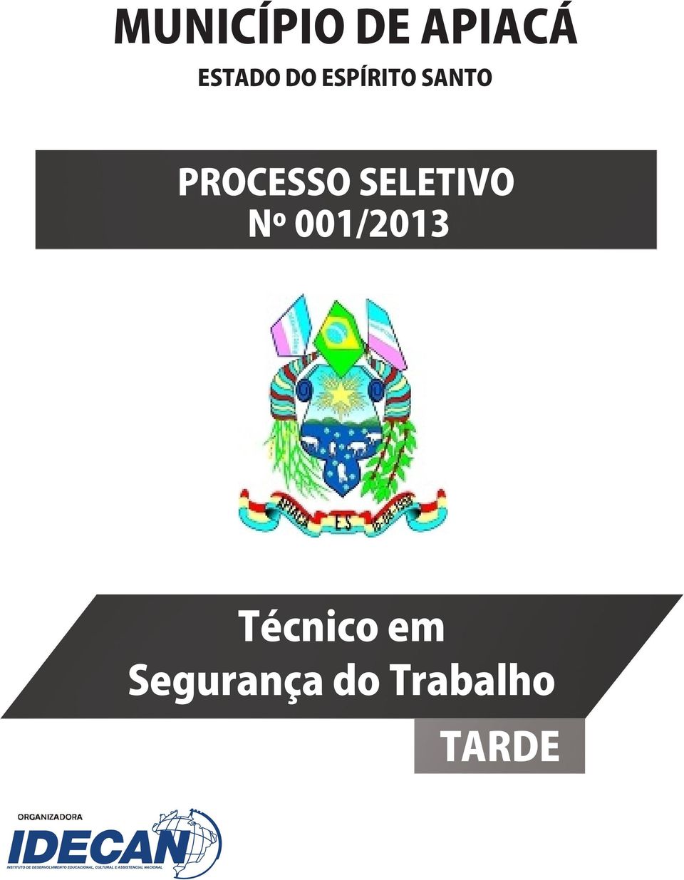 SELETIVO Nº 001/2013 Técnico