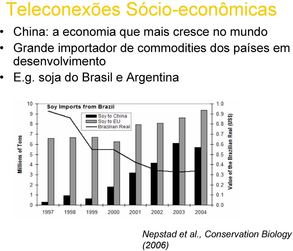 commodities dos países em desenvolvimento E.g.