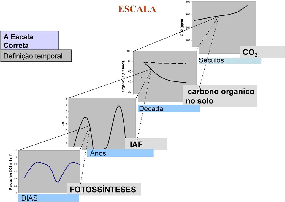 Séculos CO 2 carbono organico no solo 5 LAI 4 3 2 Pgross (mg