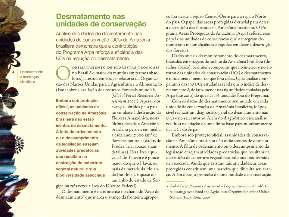 O desmatamento de florestas tropicais no Brasil é o maior do mundo (em termos absolutos), atestou em 5 o relatório da Organização das Nações Unidas para a Agricultura e a Alimentação (Fao) sobre a