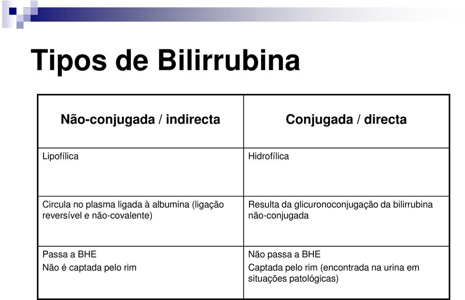 Resulta da glicuronoconjugação da bilirrubina não-conjugada Passa a BHE Não é