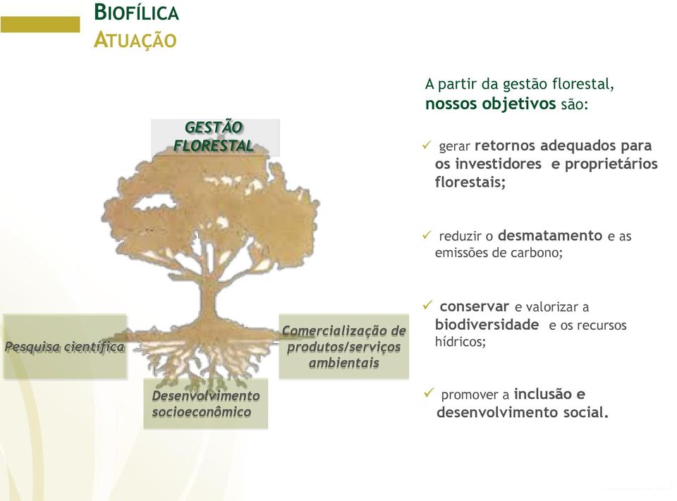 carbono; Pesquisa científica Comercialização de produtos/serviços ambientais conservar e valorizar a