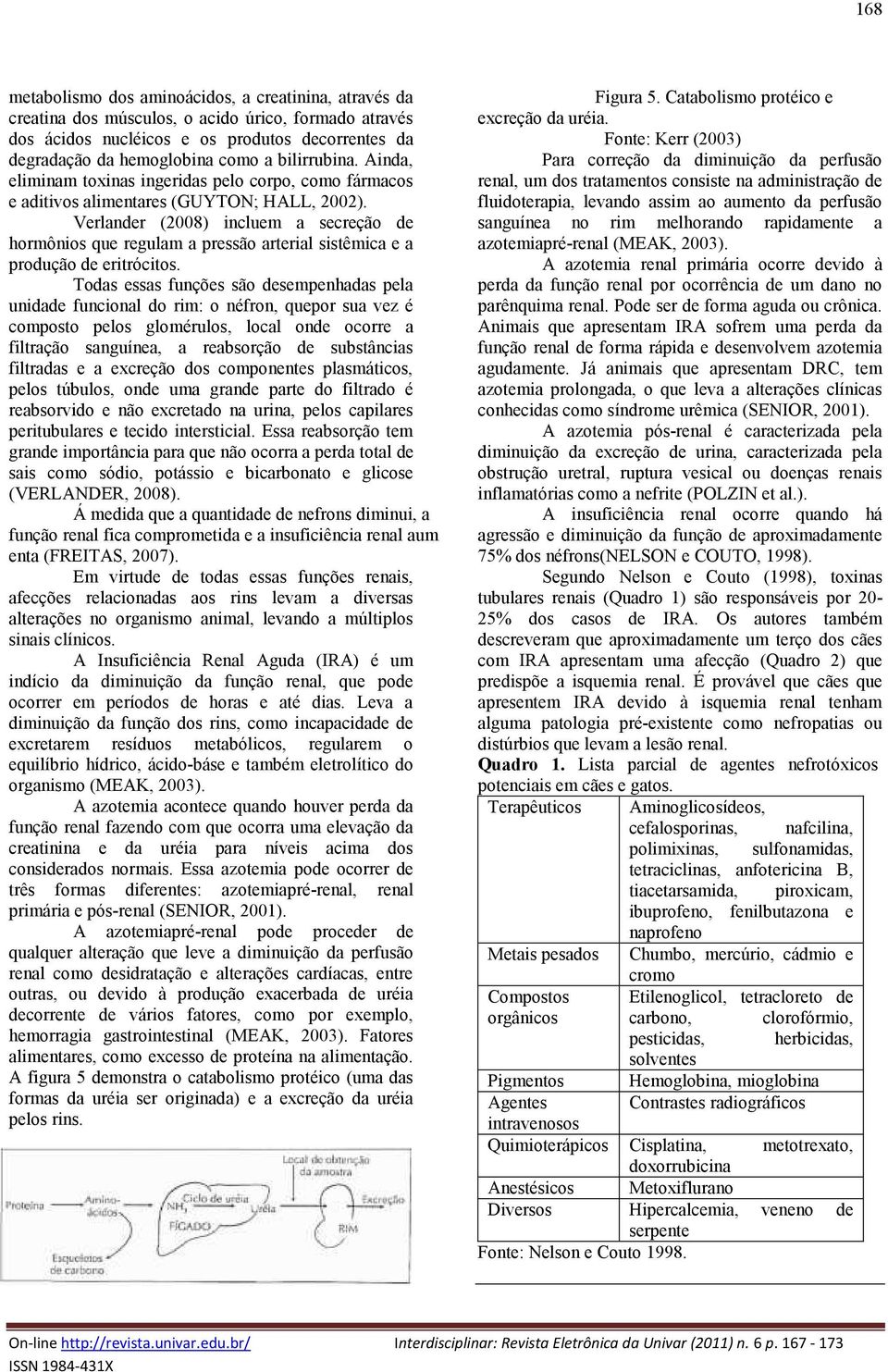 Verlander (2008) incluem a secreção de hormônios que regulam a pressão arterial sistêmica e a produção de eritrócitos.