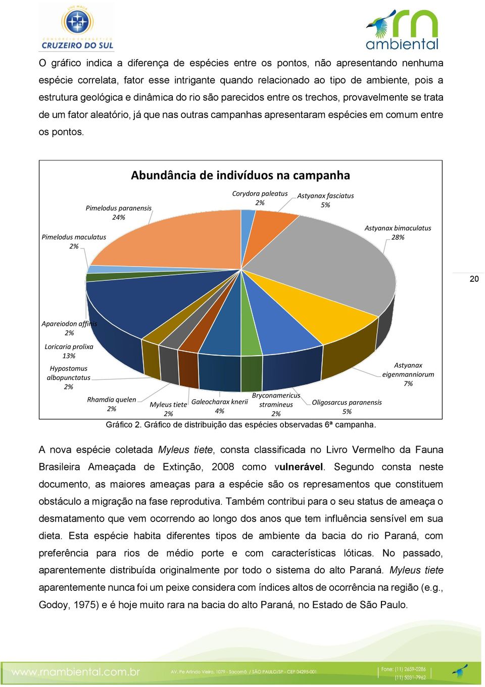 Abundância de indivíduos na campanha Pimelodus maculatus 2% Pimelodus paranensis 24% Corydora paleatus 2% Astyanax fasciatus 5% Astyanax bimaculatus 28% 20 Apareiodon affinis 2% Loricaria prolixa 13%