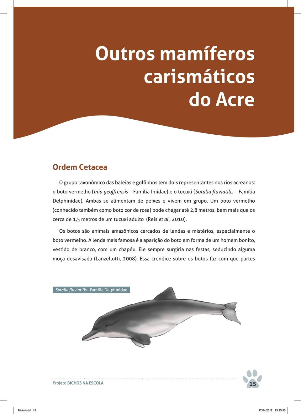 Um boto vermelho (conhecido também como boto cor de rosa) pode chegar até 2,8 metros, bem mais que os cerca de 1,5 metros de um tucuxi adulto (Reis et al., 2010).