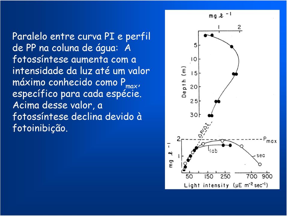 máximo conhecido como P max, específico para cada espécie.