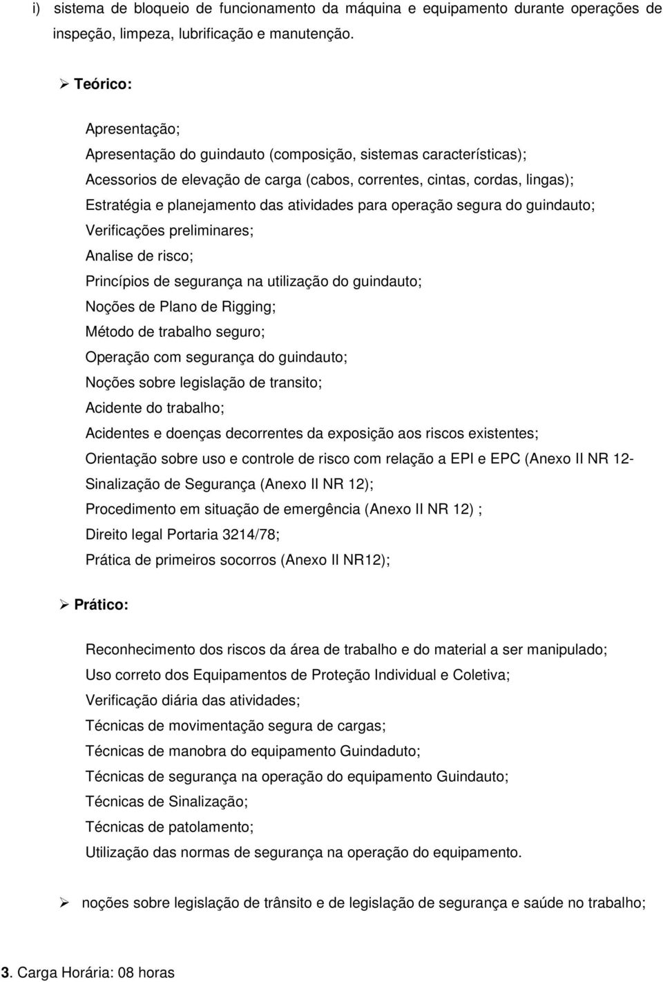 atividades para operação segura do guindauto; Verificações preliminares; Analise de risco; Princípios de segurança na utilização do guindauto; Noções de Plano de Rigging; Método de trabalho seguro;