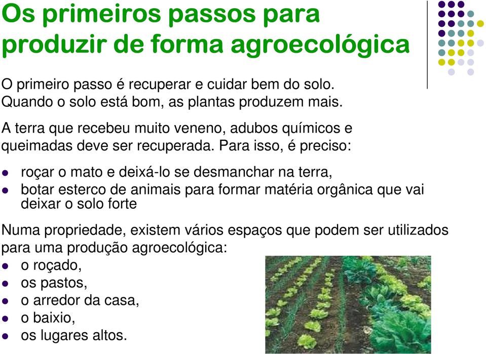 Para isso, é preciso: roçar o mato e deixá-lo se desmanchar na terra, botar esterco de animais para formar matéria orgânica que vai deixar o