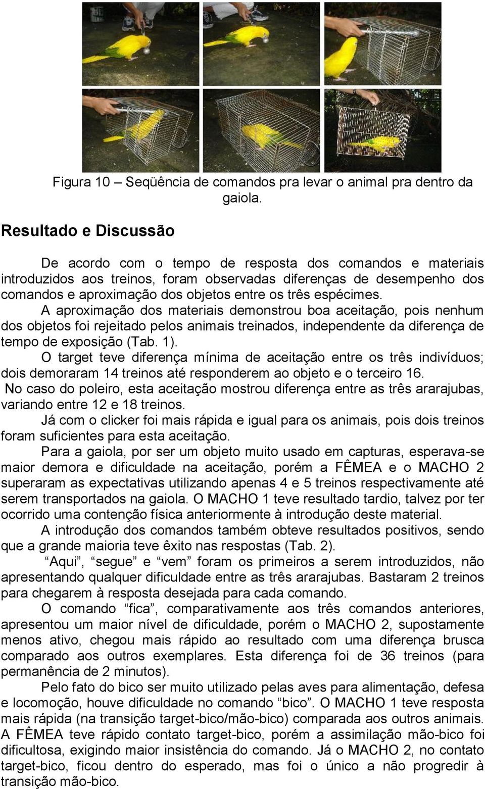 três espécimes. A aproximação dos materiais demonstrou boa aceitação, pois nenhum dos objetos foi rejeitado pelos animais treinados, independente da diferença de tempo de exposição (Tab. 1).