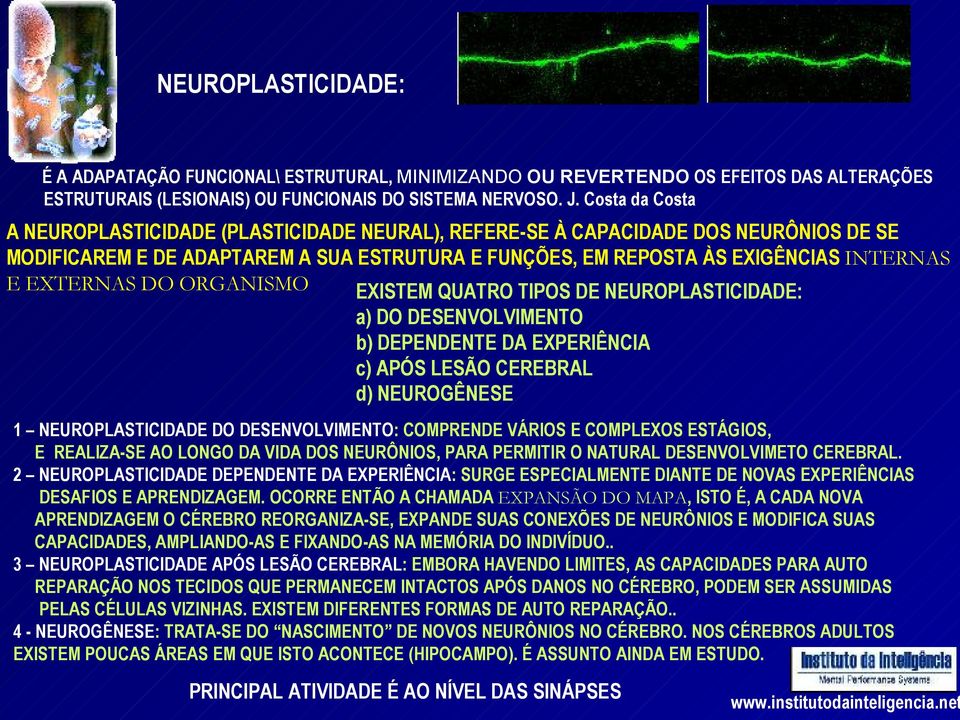 DO ORGANISMO EXISTEM QUATRO TIPOS DE NEUROPLASTICIDADE: a) DO DESENVOLVIMENTO b) DEPENDENTE DA EXPERIÊNCIA c) APÓS LESÃO CEREBRAL d) NEUROGÊNESE 1 NEUROPLASTICIDADE DO DESENVOLVIMENTO: COMPRENDE