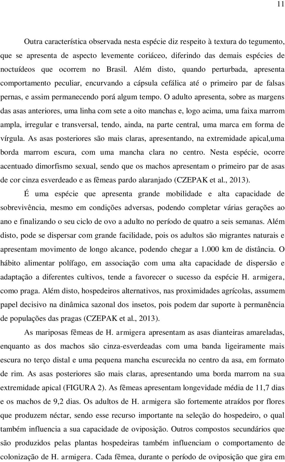 O adulto apresenta, sobre as margens das asas anteriores, uma linha com sete a oito manchas e, logo acima, uma faixa marrom ampla, irregular e transversal, tendo, ainda, na parte central, uma marca