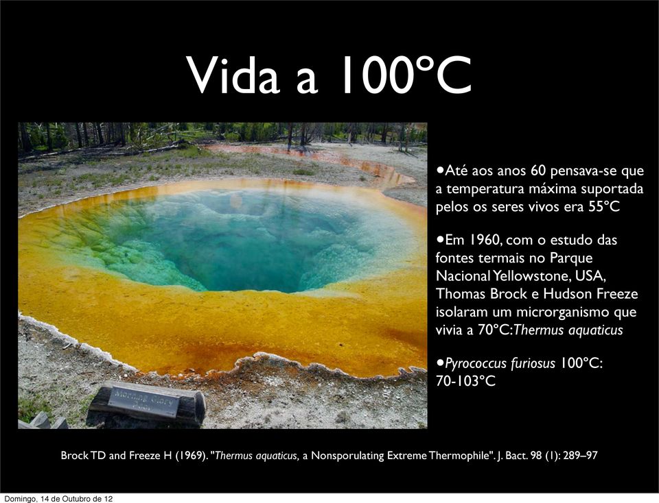 Freeze isolaram um microrganismo que vivia a 70ºC:Thermus aquaticus Pyrococcus furiosus 100ºC: 70-103ºC