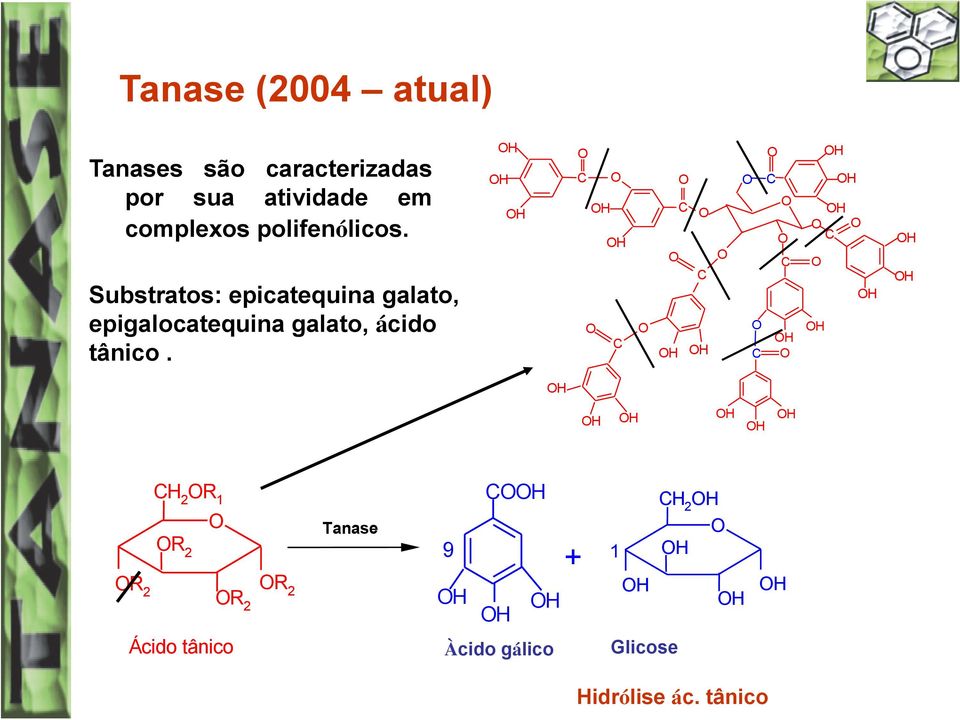 Substratos: epicatequina galato, epigalocatequina galato, ácido