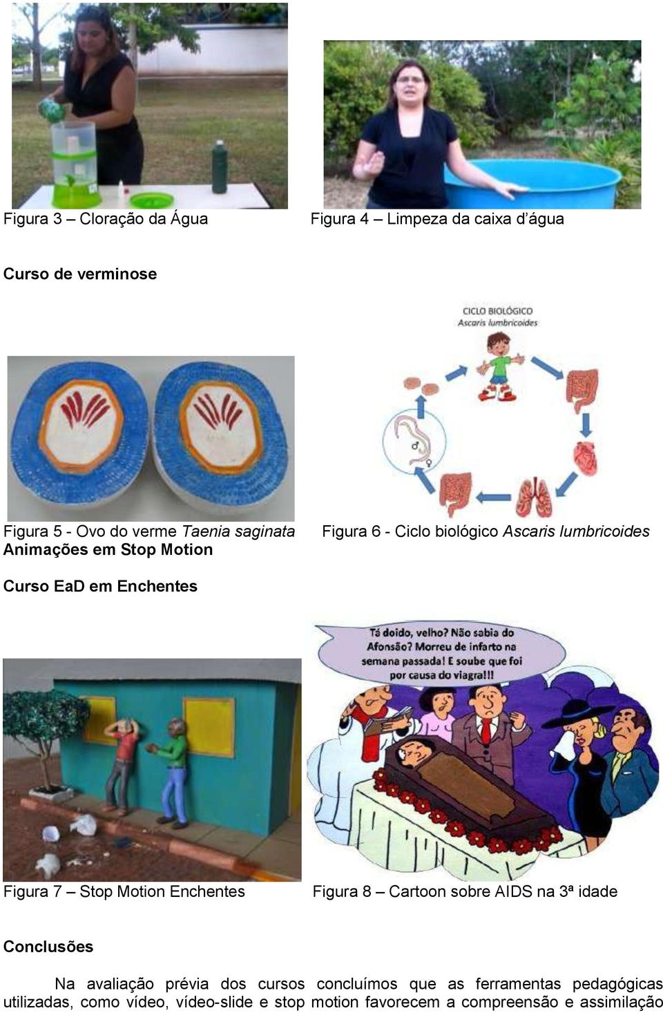 Stop Motion Enchentes Figura 8 Cartoon sobre AIDS na 3ª idade Conclusões Na avaliação prévia dos cursos