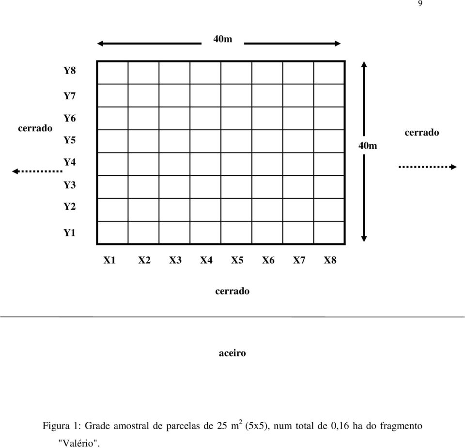 Figura 1: Grade amostral de parcelas de 25 m 2