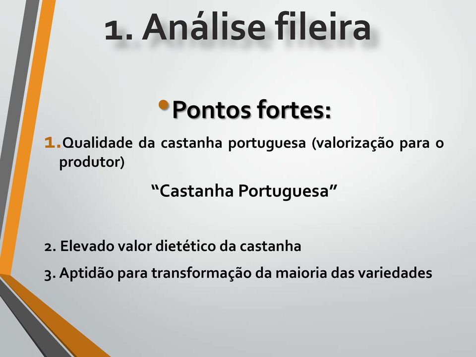 produtor) Castanha Portuguesa 2.