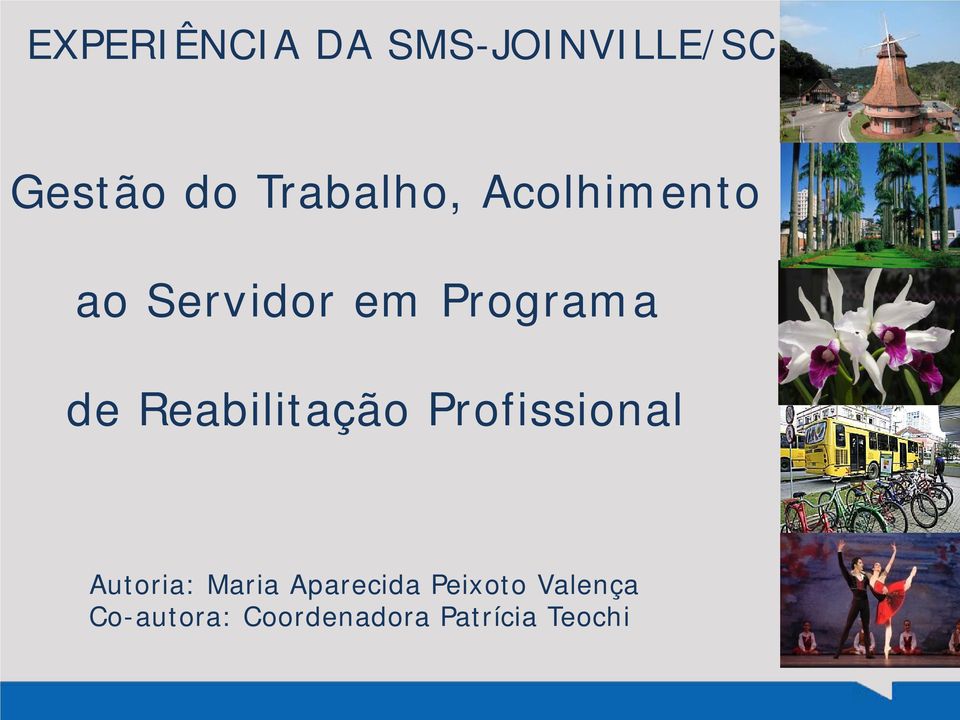 Reabilitação Profissional Autoria: Maria