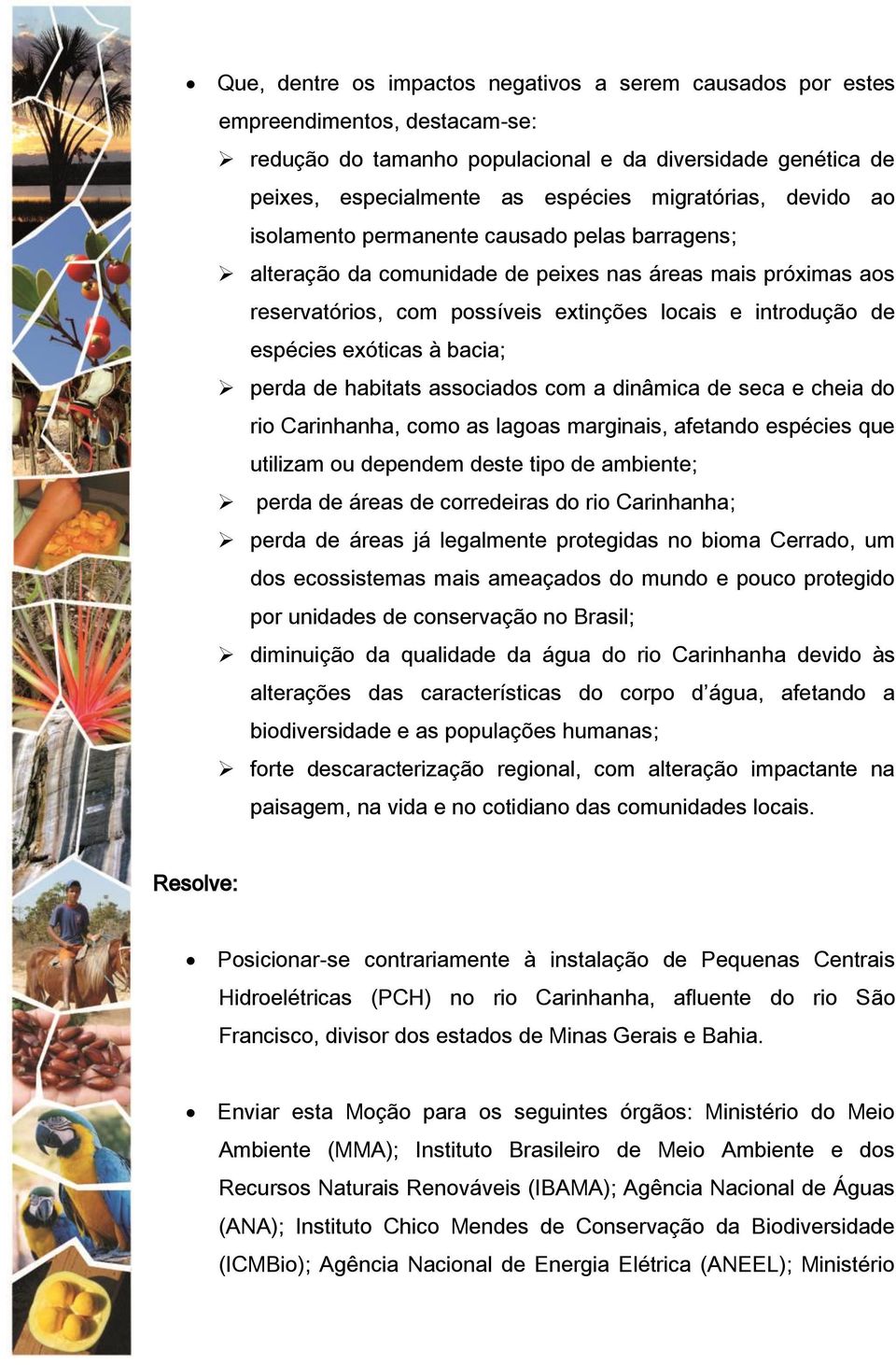 à bacia; perda de habitats associados com a dinâmica de seca e cheia do rio Carinhanha, como as lagoas marginais, afetando espécies que utilizam ou dependem deste tipo de ambiente; perda de áreas de