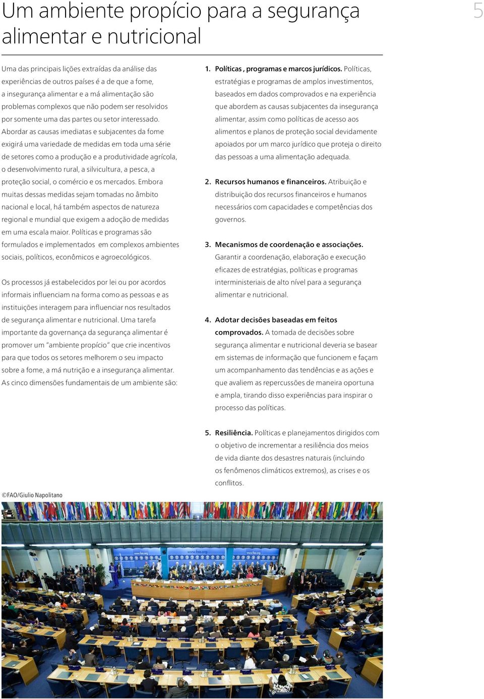 Abordar as causas imediatas e subjacentes da fome exigirá uma variedade de medidas em toda uma série de setores como a produção e a produtividade agrícola, o desenvolvimento rural, a silvicultura, a