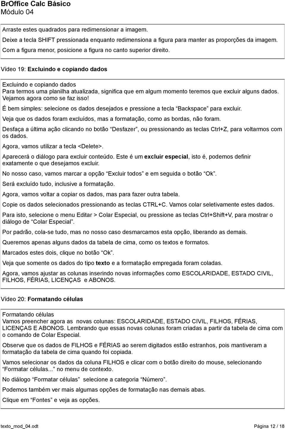 Vídeo 19: Excluindo e copiando dados Excluindo e copiando dados Para termos uma planilha atualizada, significa que em algum momento teremos que excluir alguns dados. Vejamos agora como se faz isso!