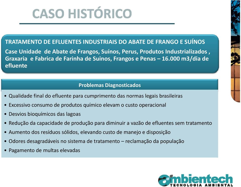 000 m3/dia de efluente Problemas Diagnosticados Qualidade final do efluente para cumprimento das normas legais brasileiras Excessivo consumo de produtos químico elevam