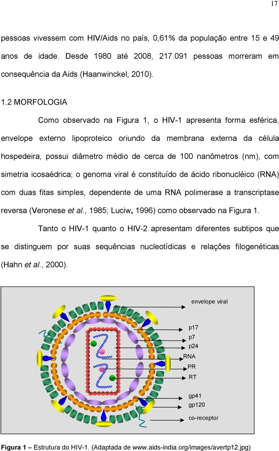 80 até 2008, 217.091 pessoas morreram em consequência da Aids (Haanwinckel, 2010). 1.