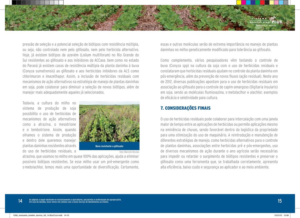 da planta daninha à buva (Conyza sumatrensis) ao glifosato e aos herbicidas inibidores da ALS como chlorimuron e imazethapyr.