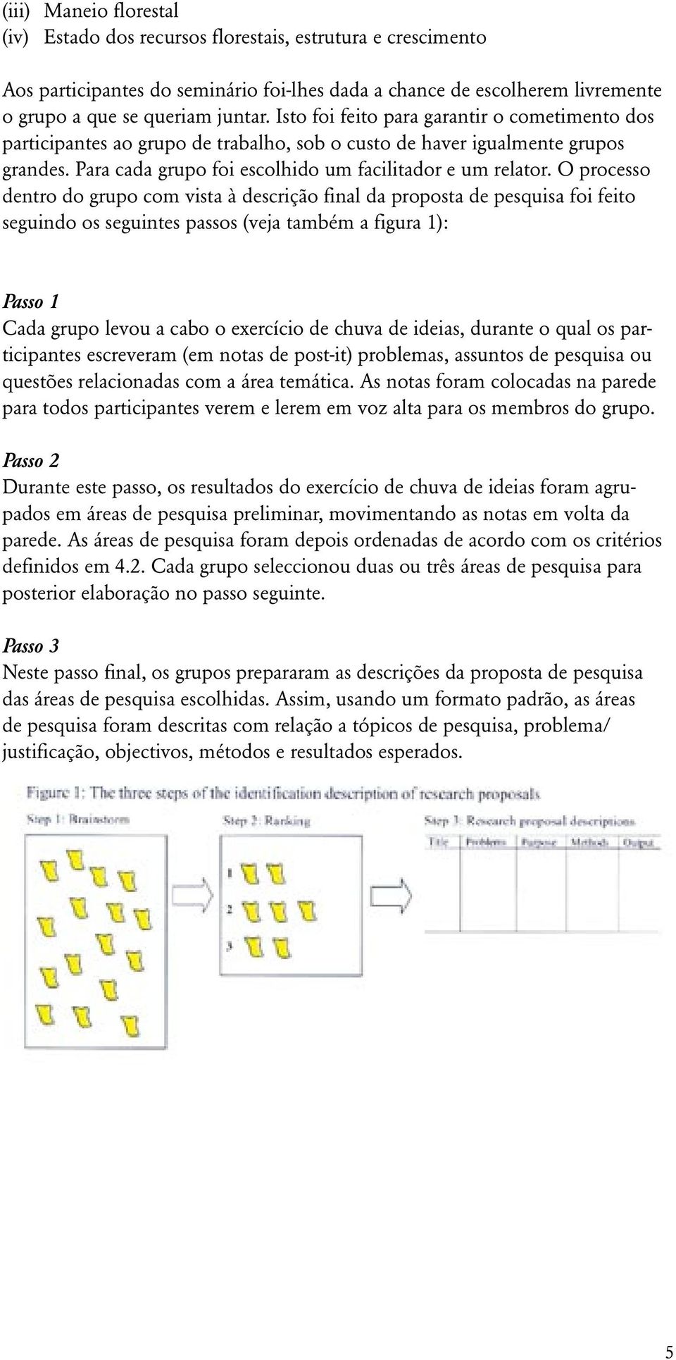 O processo dentro do grupo com vista à descrição final da proposta de pesquisa foi feito seguindo os seguintes passos (veja também a figura 1): Passo 1 Cada grupo levou a cabo o exercício de chuva de