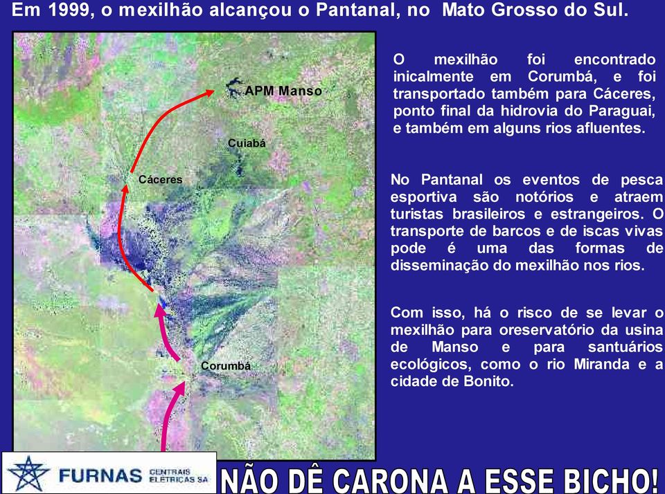 alguns rios afluentes. Cuiabá No Pantanal os eventos de pesca esportiva são notórios e atraem turistas brasileiros e estrangeiros.