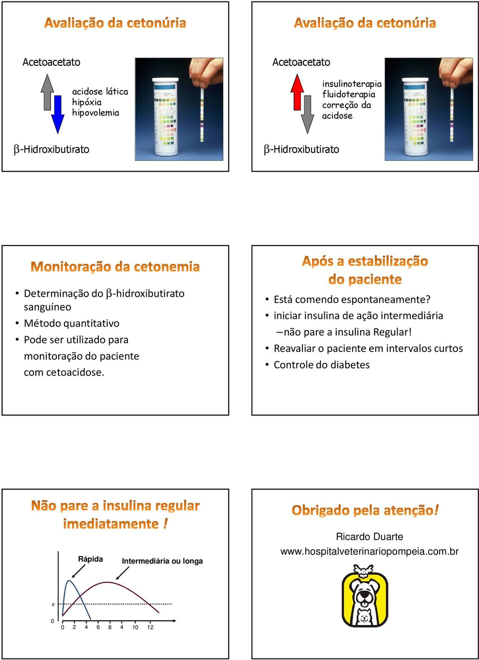 cetoacidose. Está comendo espontaneamente? iniciar insulina de ação intermediária não pare a insulina Regular!