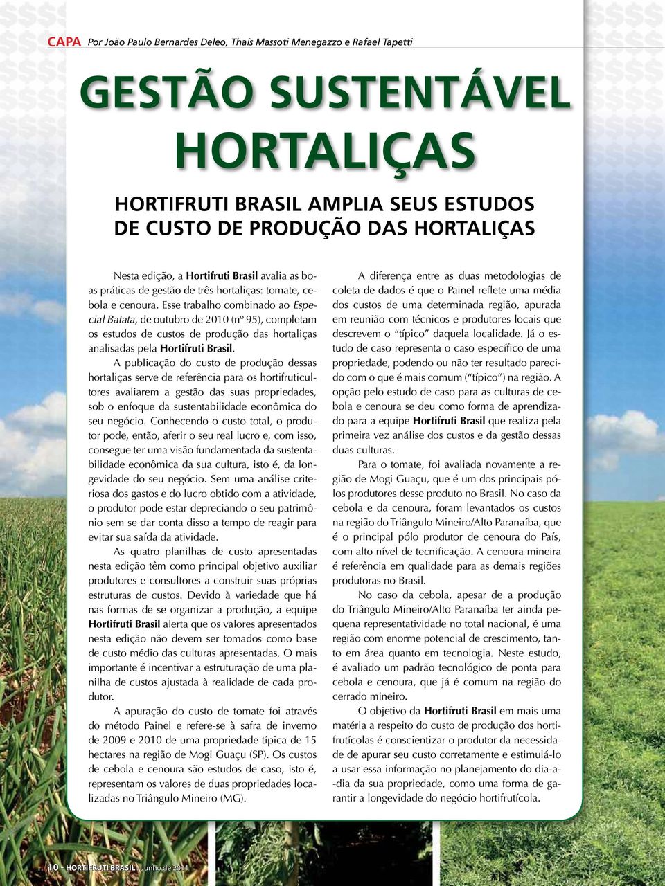 Esse trabalho combinado ao Especial Batata, de outubro de 2010 (nº 95), completam os estudos de custos de produção das hortaliças analisadas pela Hortifruti Brasil.