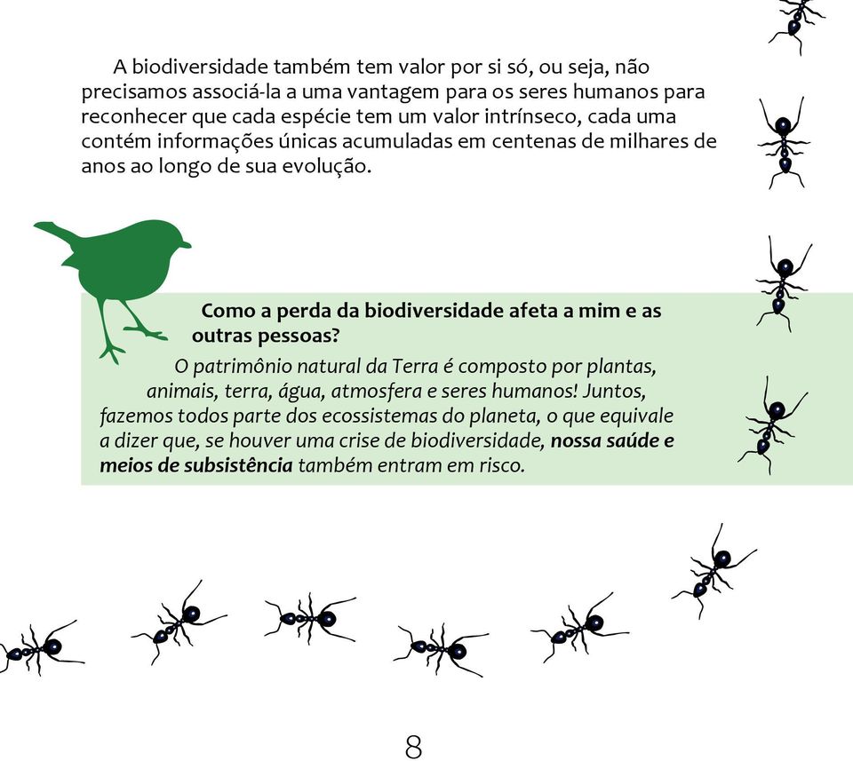 Como a perda da biodiversidade afeta a mim e as outras pessoas?