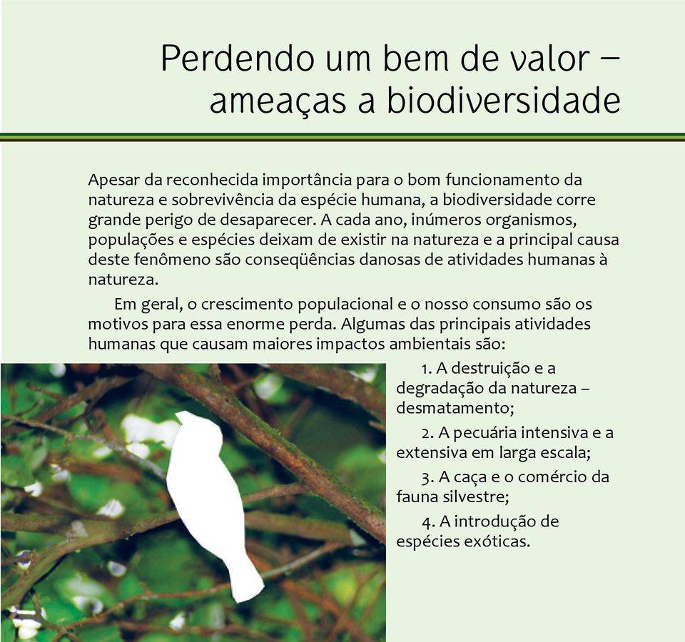 A cada ano, inúmeros organismos, populações e espécies deixam de existir na natureza e a principal causa deste fenômeno são conseqüências danosas de atividades humanas à natureza.