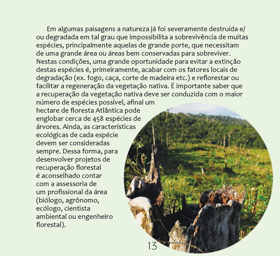 Nestas condições, uma grande oportunidade para evitar a extinção destas espécies é, primeiramente, acabar com os fatores locais de degradação (ex. fogo, caça, corte de madeira etc.