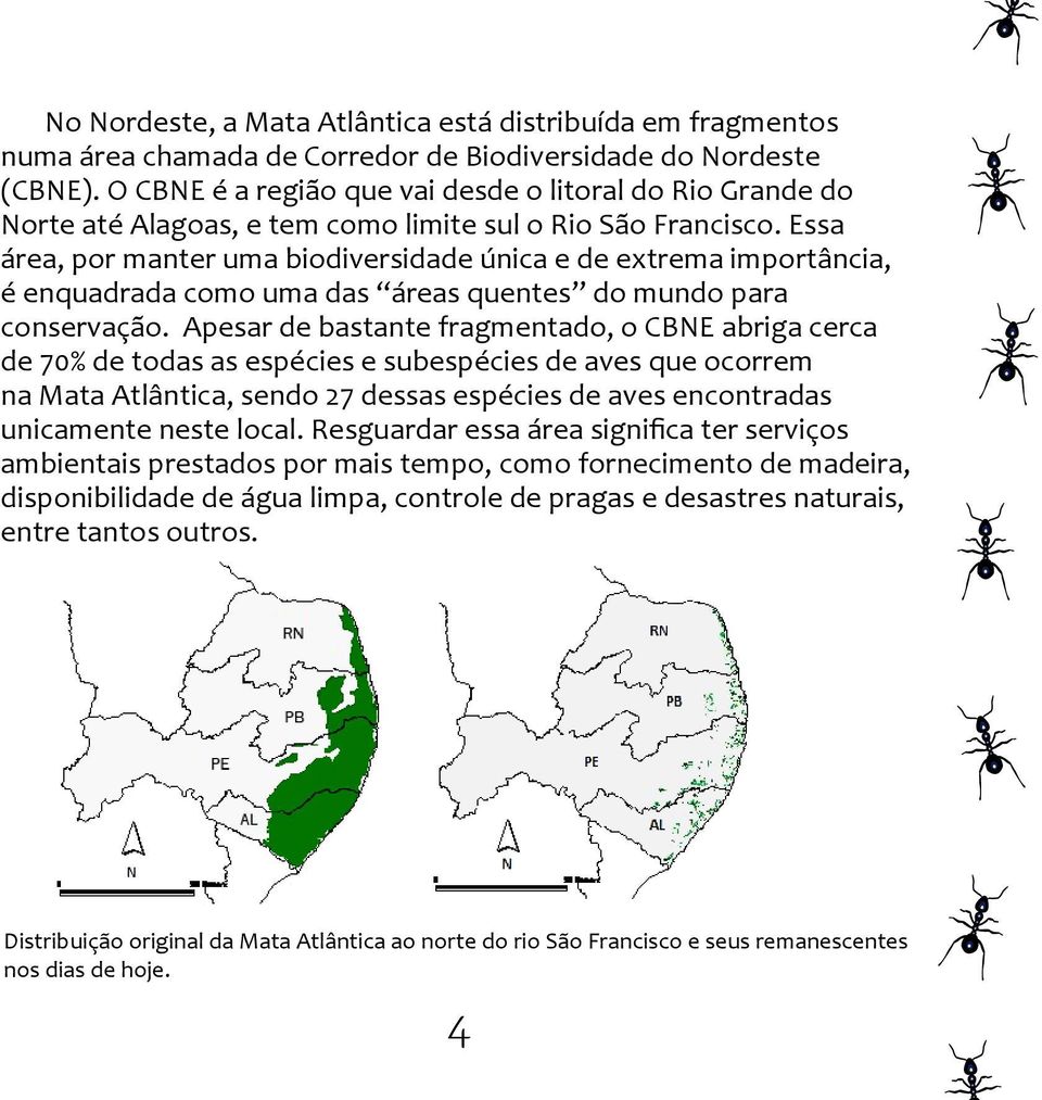 Essa área, por manter uma biodiversidade única e de extrema importância, é enquadrada como uma das áreas quentes do mundo para conservação.